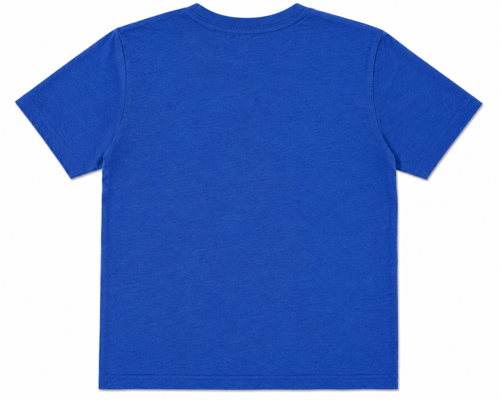 Charlotte Hounds Throwback Washed Tee - Youth