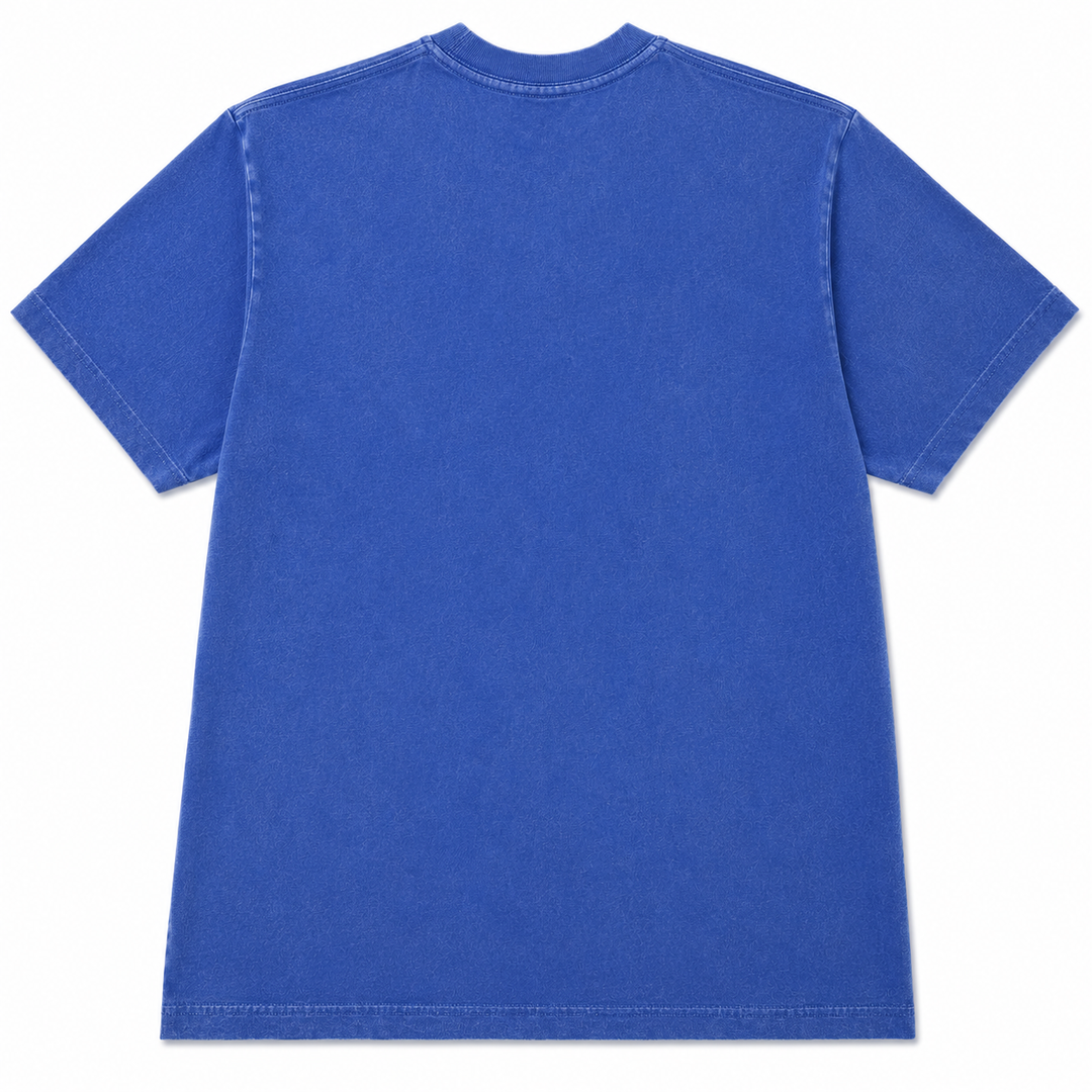 Charlotte Hounds Throwback Washed Tee