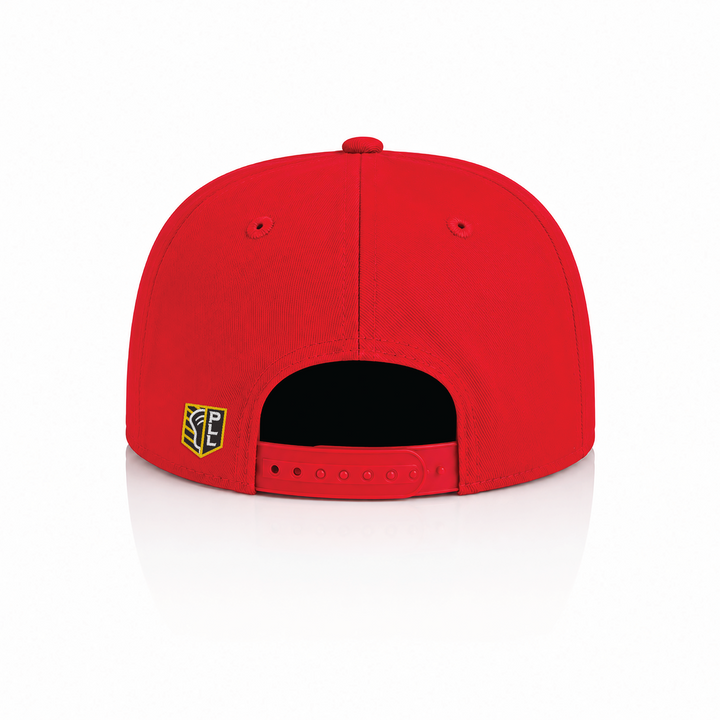 Boston Cannons Throwback Hat